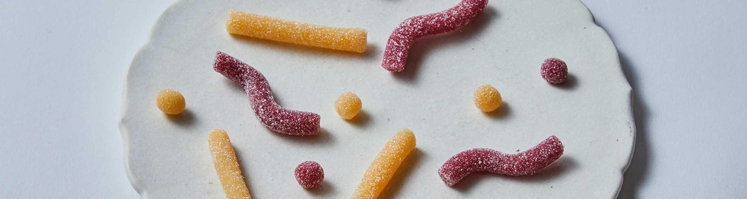 諸鉤-Morokagi- 果実のジオメトリー